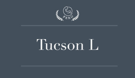 pero-hyundai-tucson-l