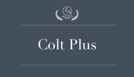 pero-mitsubishi-colt-plus