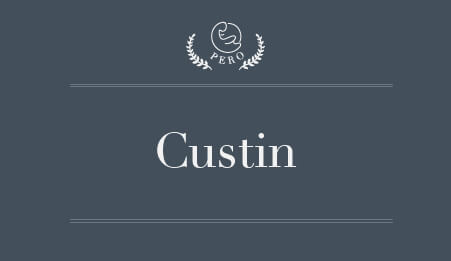 pero-hyundai-custin
