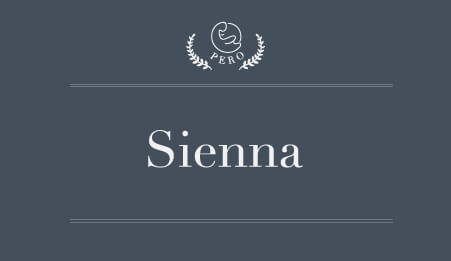 pero-toyota-sienna